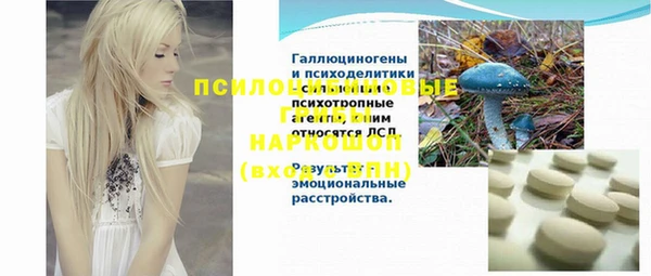 2c-b Алзамай