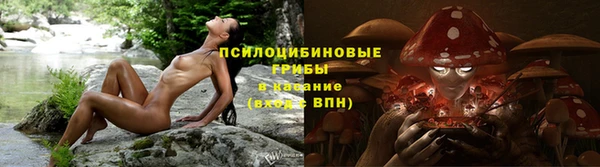 2c-b Алзамай